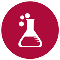 A cura dell’Unità Scientifica.
